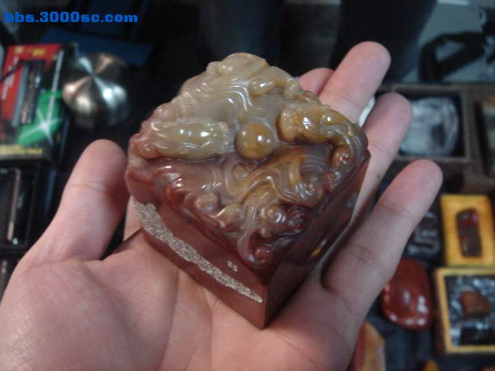 DSC04066_调整大小.JPG