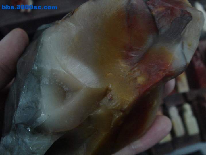 DSC04070_调整大小.JPG