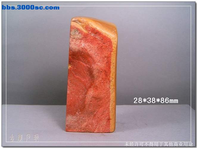 SUC30767.jpg