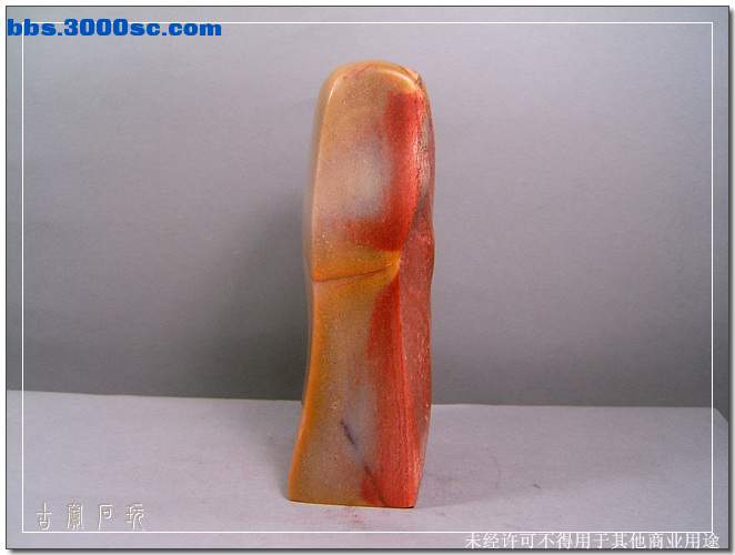 SUC30770.jpg