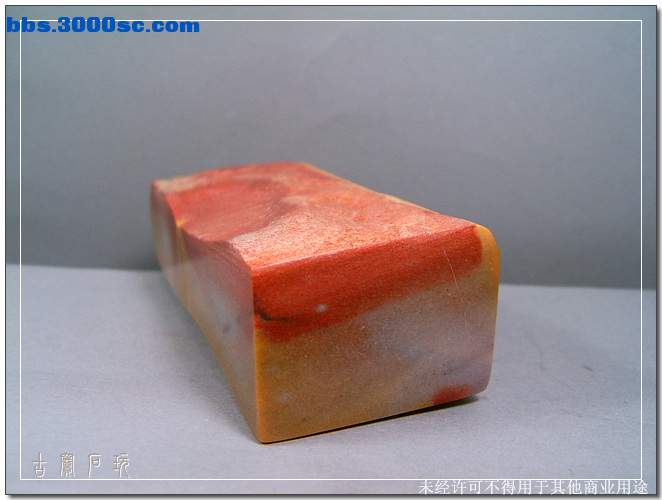SUC30771.jpg