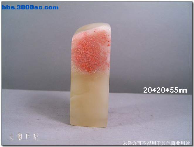 SUC31252.jpg