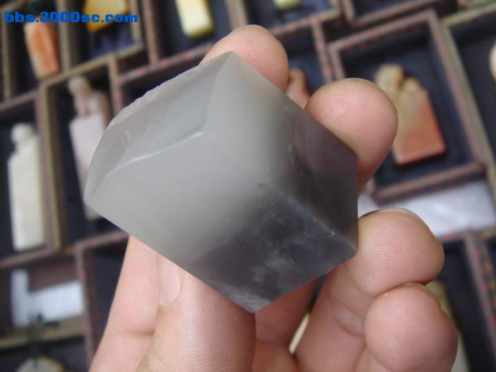 DSC04387_调整大小.JPG