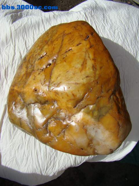 DSC02854.JPG
