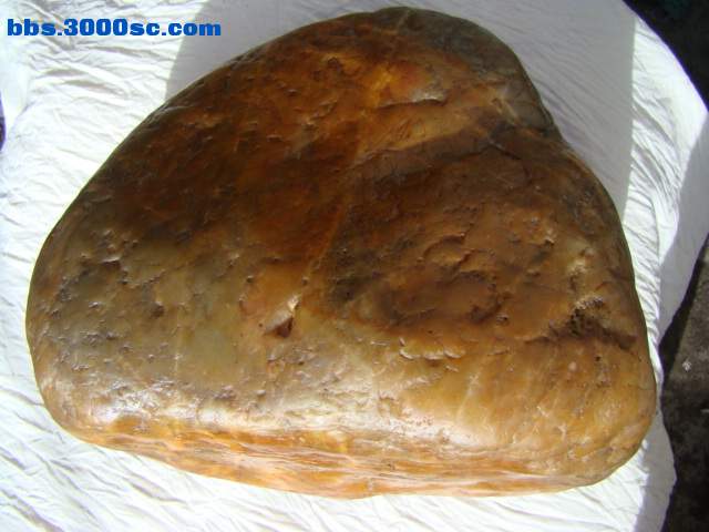 DSC02855.JPG