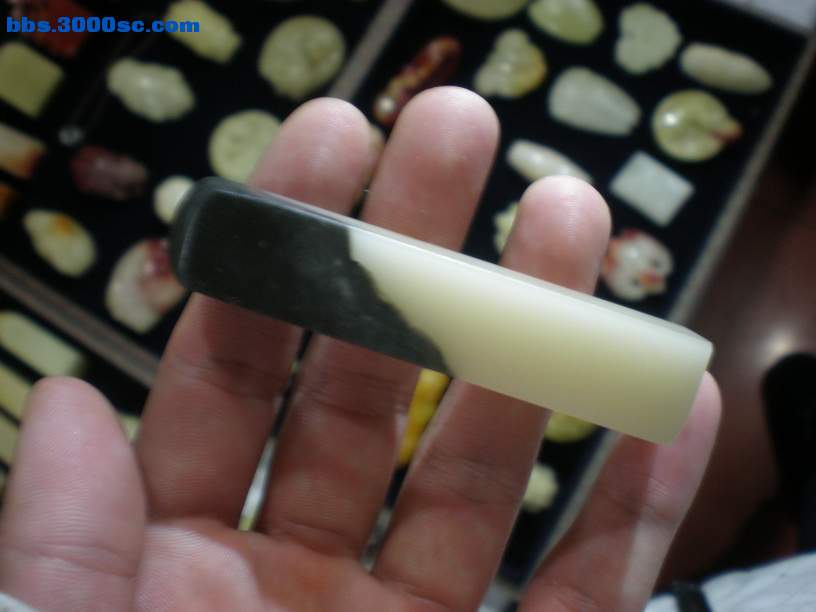 P3280120_调整大小.JPG