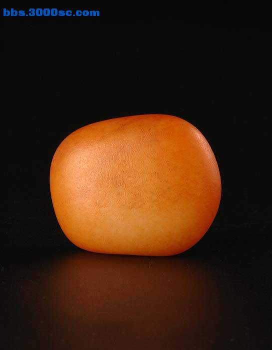 B02.JPG