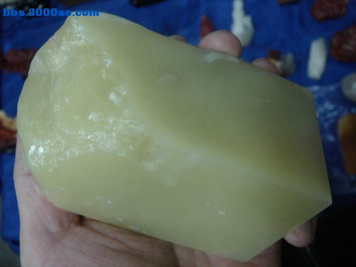 DSC06287_调整大小.JPG