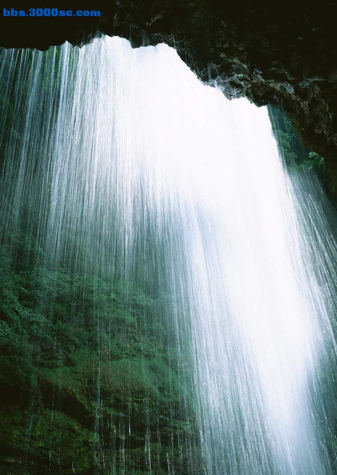 FT008.jpg