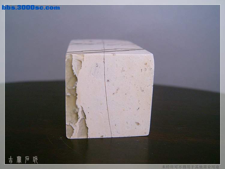 SUC35488.jpg