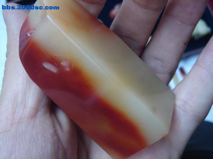 DSC06455_调整大小.JPG