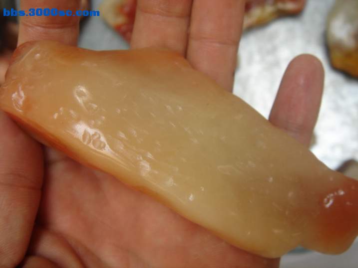 DSC06461_调整大小.JPG