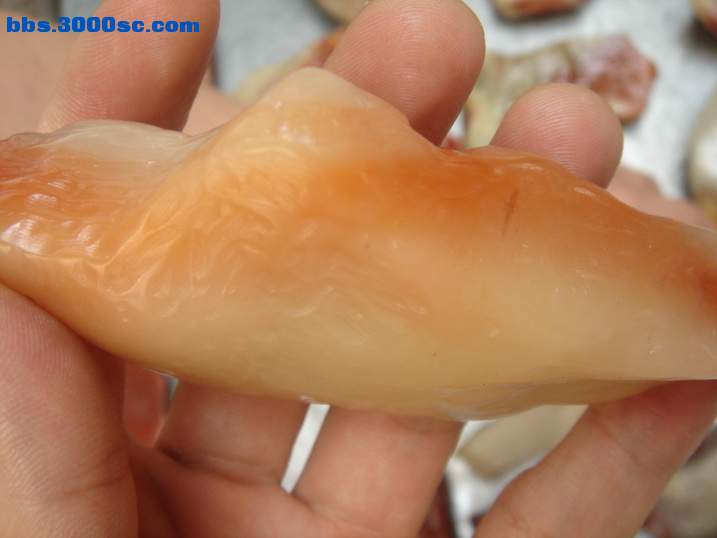 DSC06460_调整大小.JPG