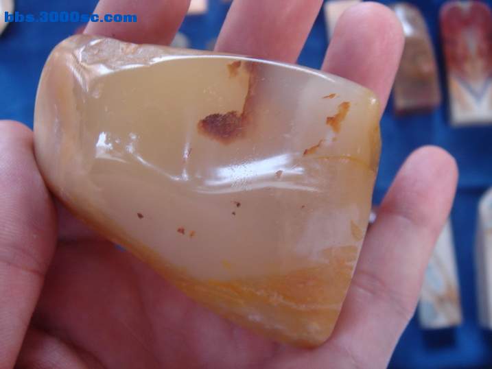 DSC06471_调整大小.JPG