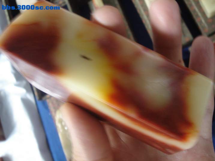 DSC06475_调整大小.JPG