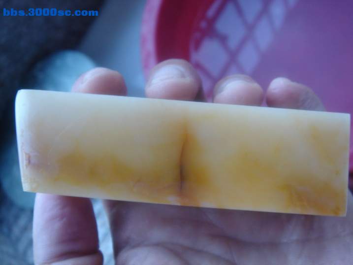 DSC06535_调整大小.JPG