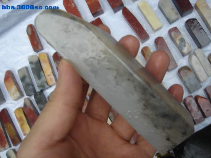 DSC06574_调整大小.JPG