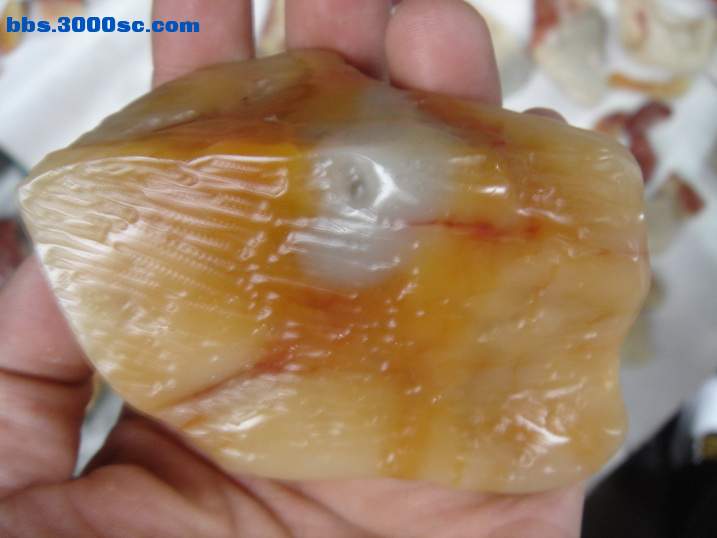 DSC06583_调整大小.JPG