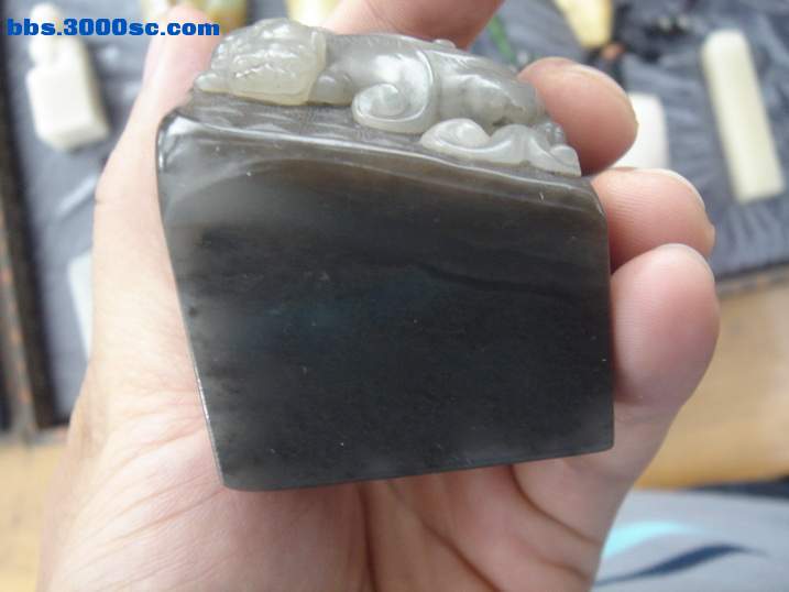 DSC06811_调整大小.JPG