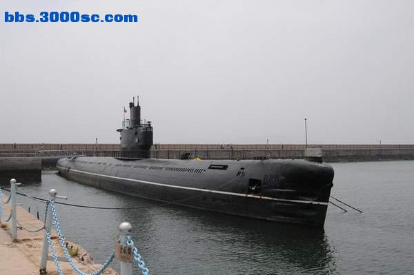 山东行 239.jpg