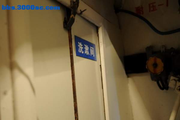山东行 278.jpg