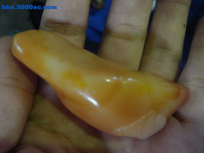 DSC06645_调整大小.JPG