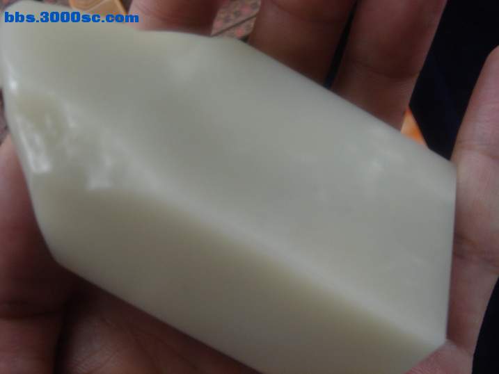 DSC06862_调整大小.JPG