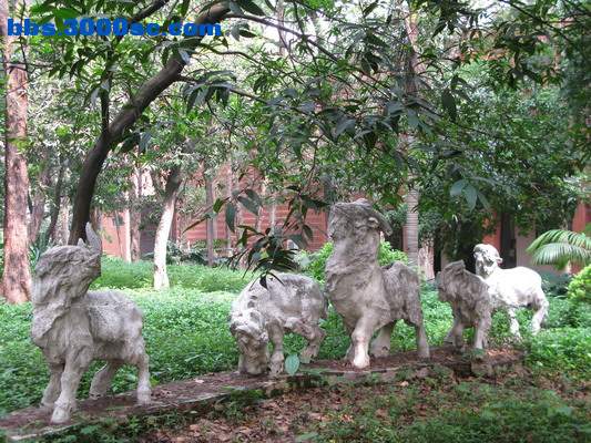 IMG_1750_缩小大小.JPG