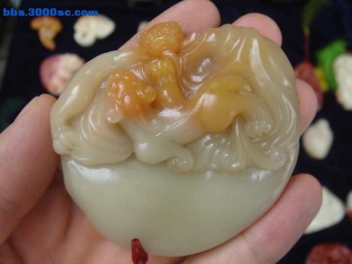 DSC06977_调整大小.JPG