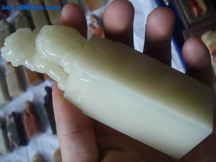 DSC06987_调整大小.JPG