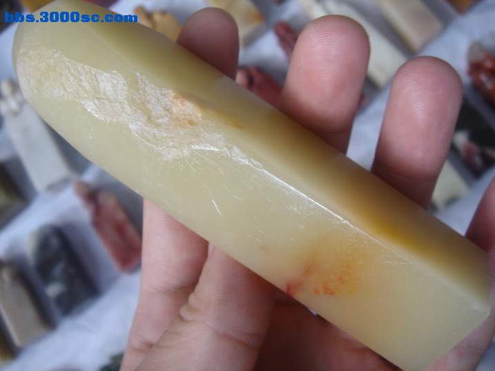 DSC06988_调整大小.JPG