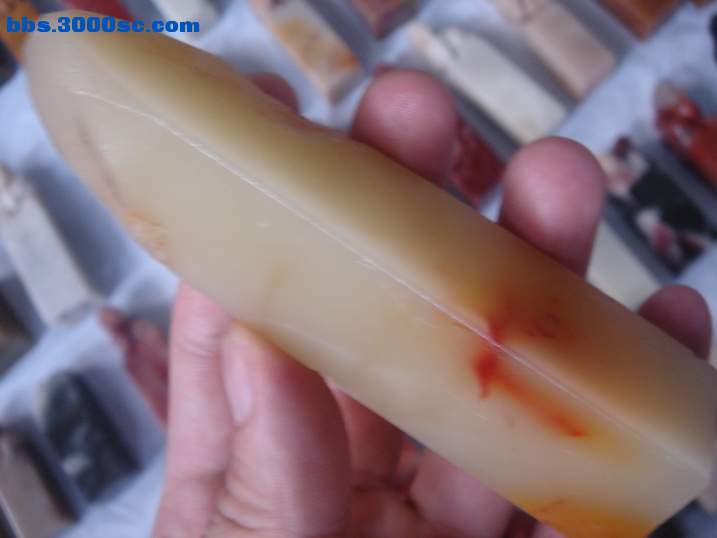 DSC06989_调整大小.JPG