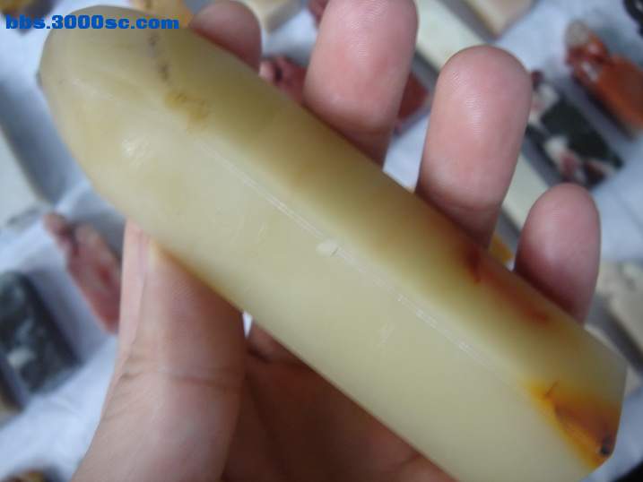 DSC06990_调整大小.JPG
