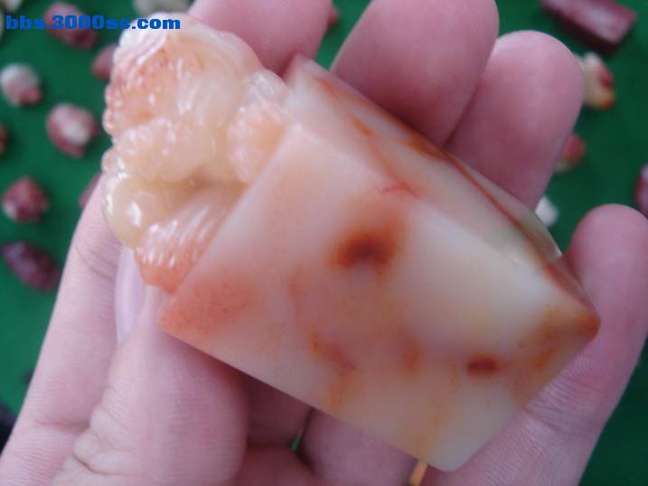 DSC06994_调整大小.JPG