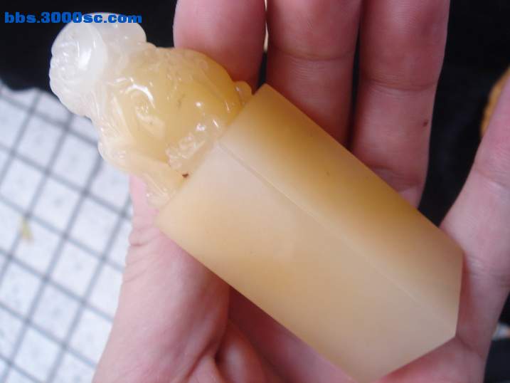 DSC07199_调整大小.JPG