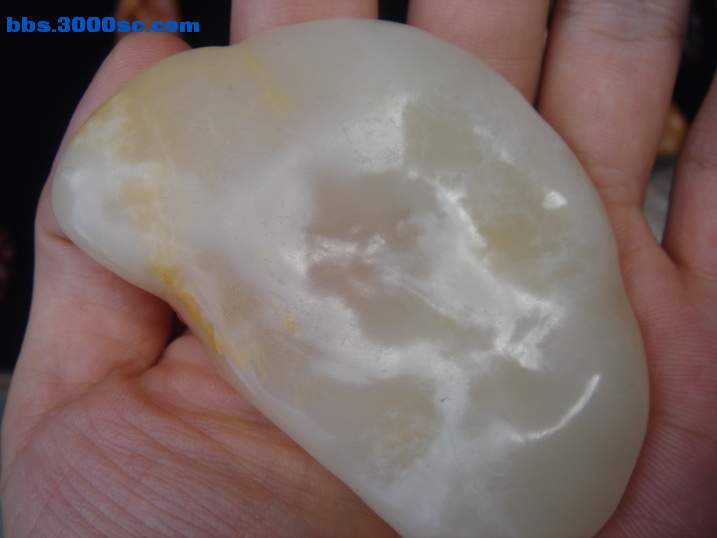DSC07211_调整大小.JPG