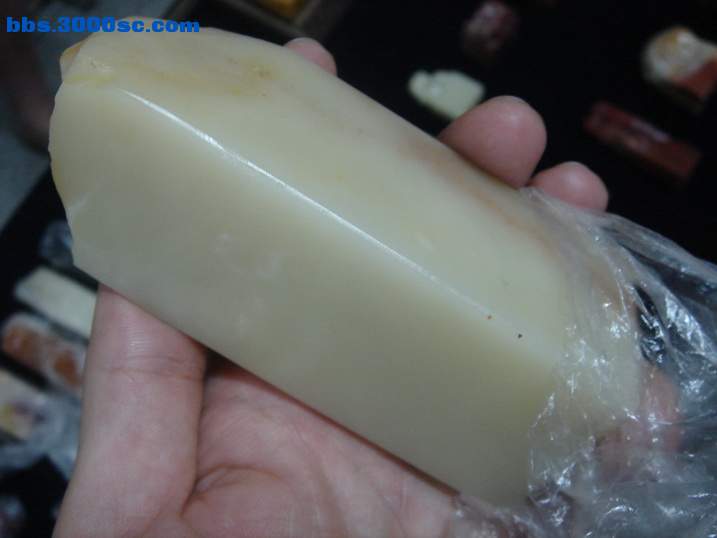 DSC07112_调整大小.JPG