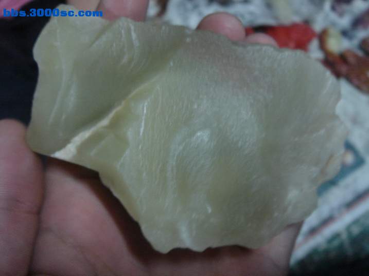 DSC07114_调整大小.JPG