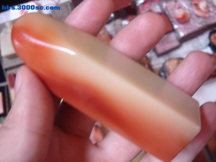 DSC07165_调整大小.JPG