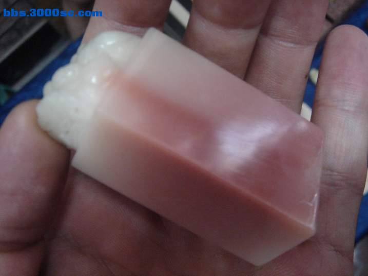 DSC07190_调整大小.JPG