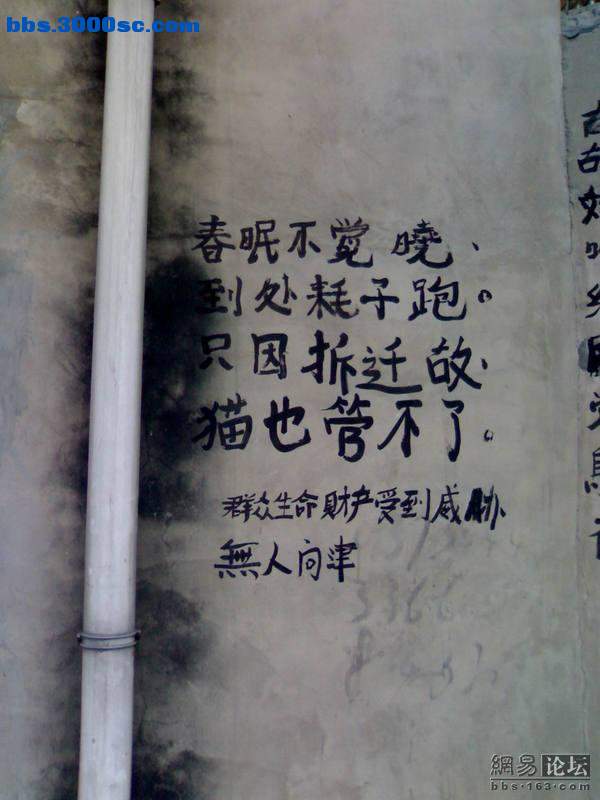 强5.jpg