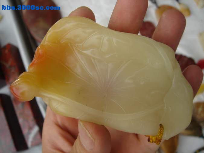 DSC07401_调整大小.JPG