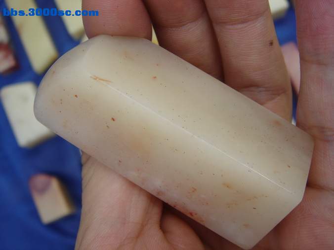 DSC07409_调整大小.JPG