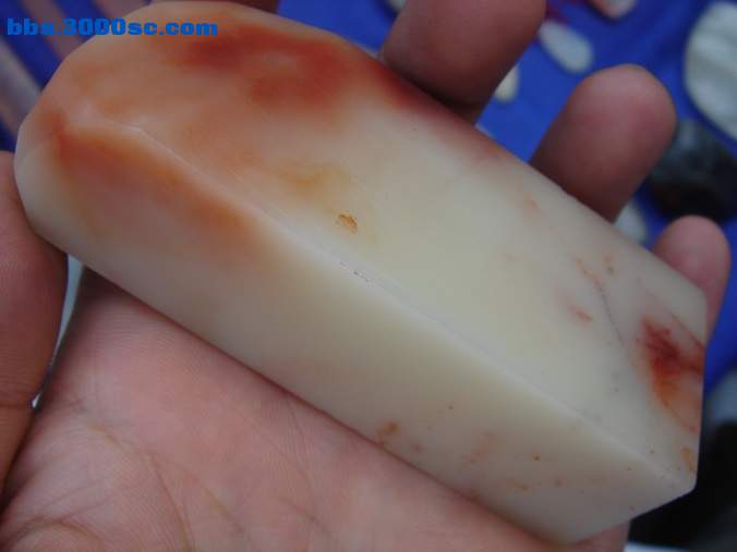 DSC07440_调整大小.JPG