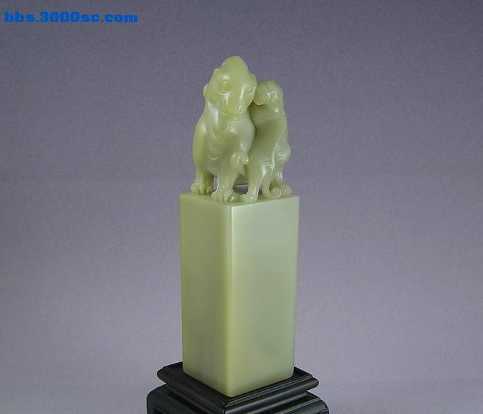 y12091.jpg