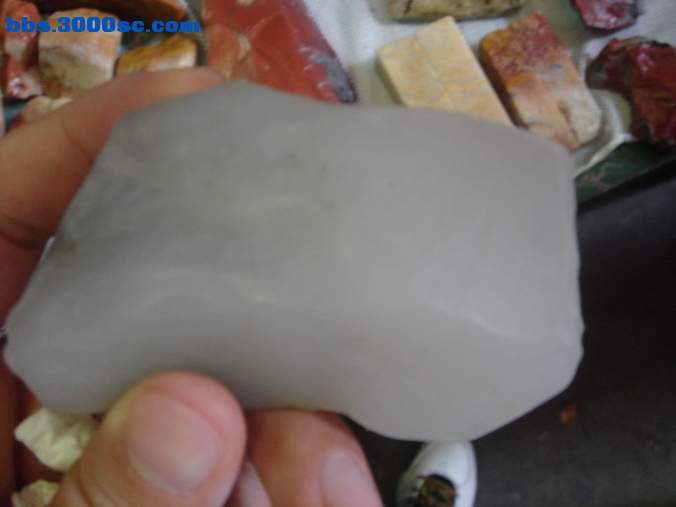 DSC07528_调整大小.JPG