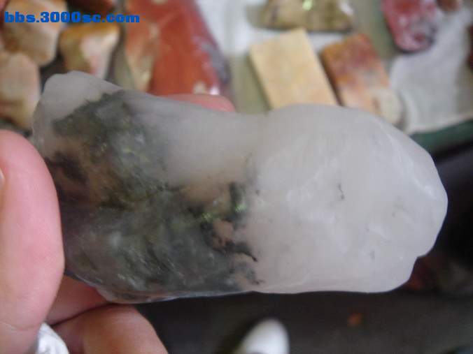 DSC07529_调整大小.JPG