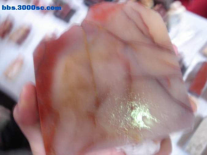 DSC07532_调整大小.JPG