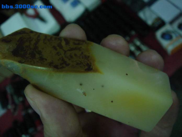 DSC07751_调整大小.JPG