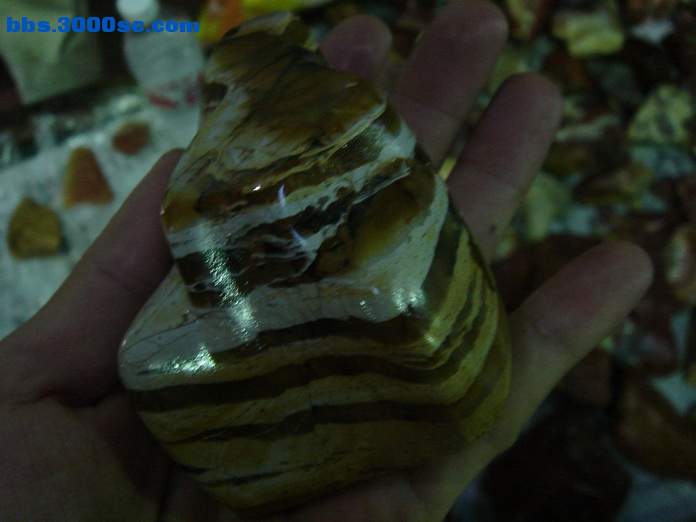 DSC07749_调整大小.JPG